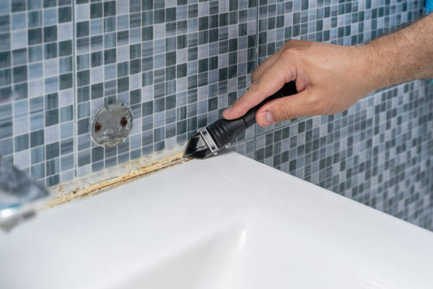 Best Commercial Mold Removal  in East Tawas, MI