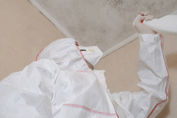 Best Mold Removal Specialists  in East Tawas, MI