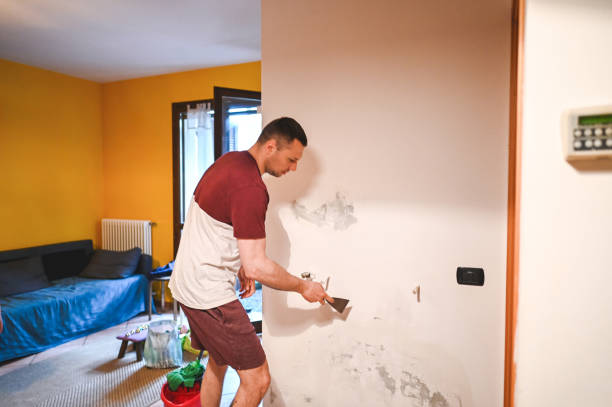 Best Mold Damage Repair  in East Tawas, MI